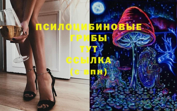 трава Арсеньев